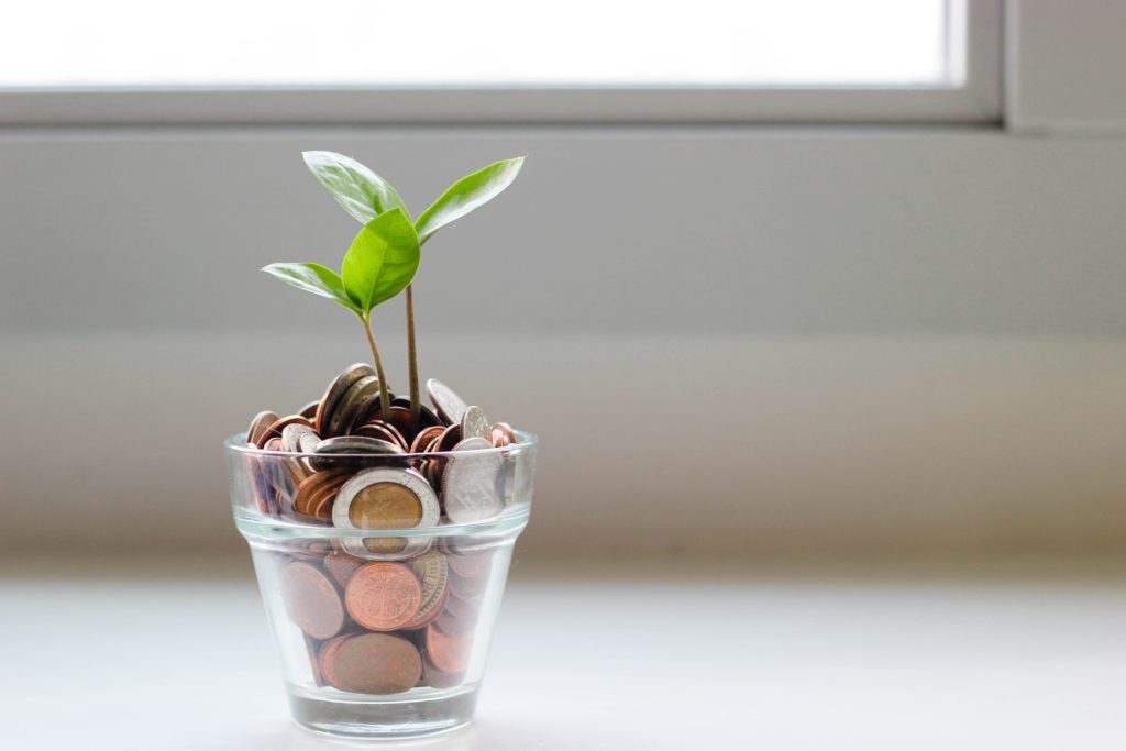 A plant growing out of a jar of coins