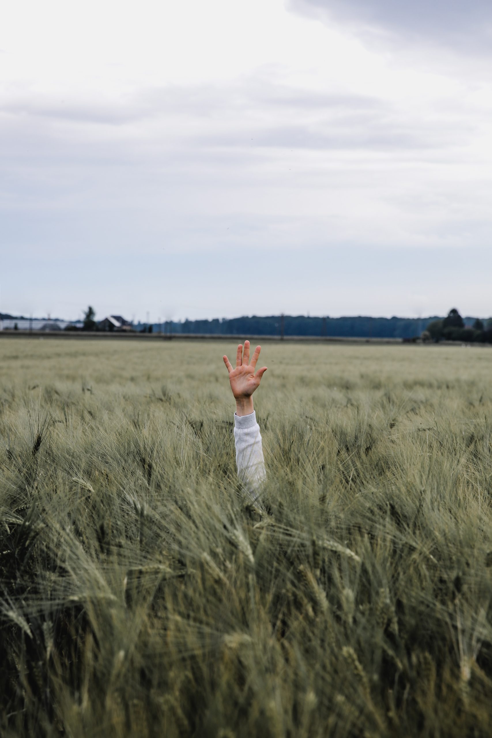 a hand holding up five fingers in the grass